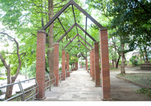 公園